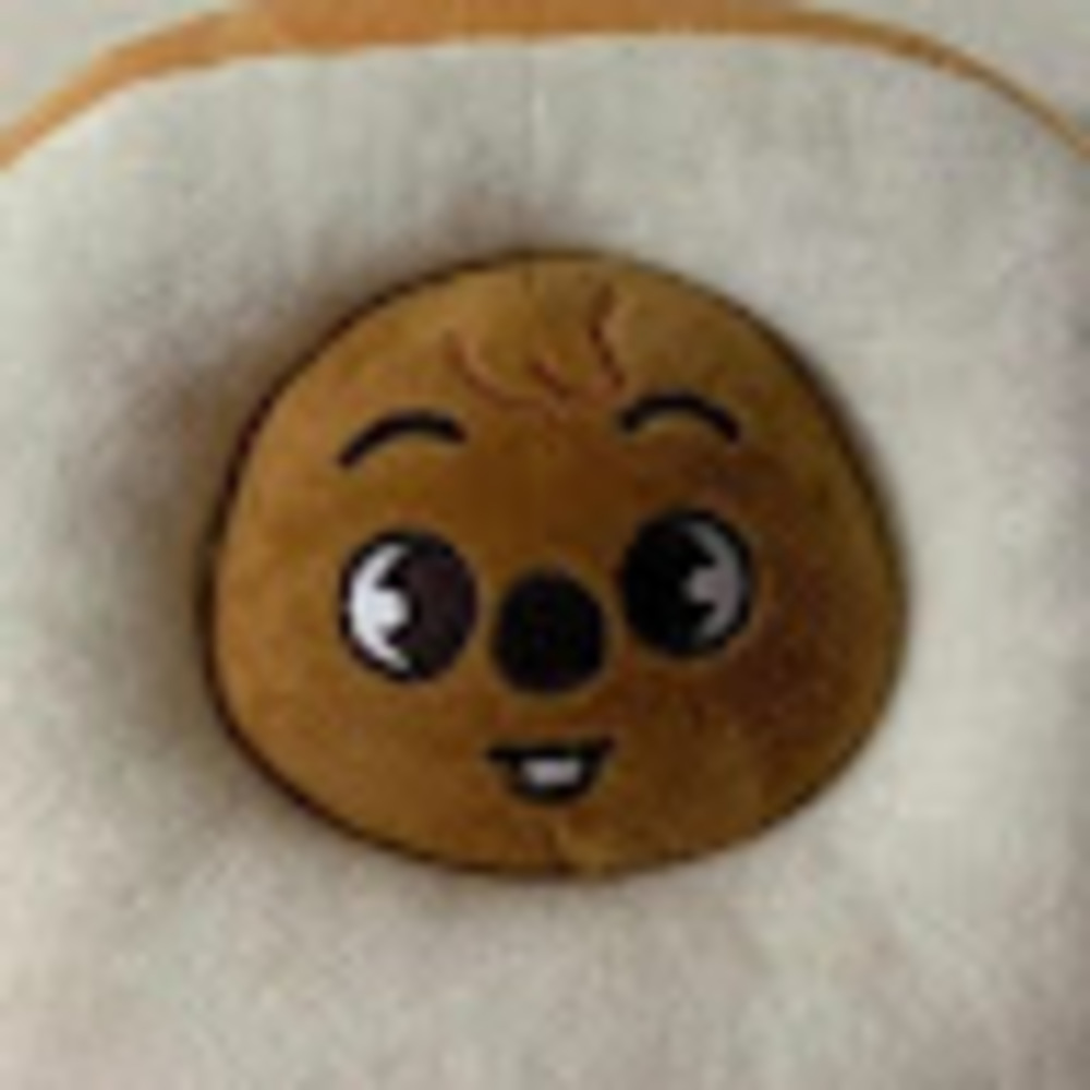 Meet your Posher, Evelin